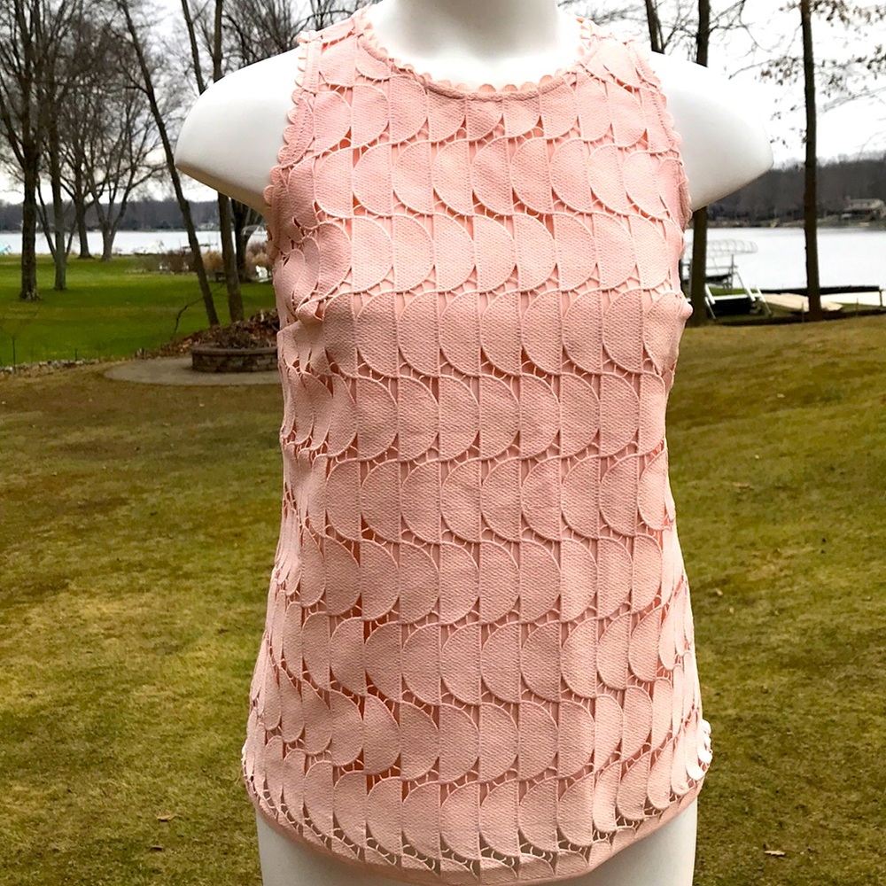NWOT Ann Taylor pink blouse 2P or 4